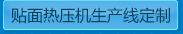 貼面熱壓機生產線定制
